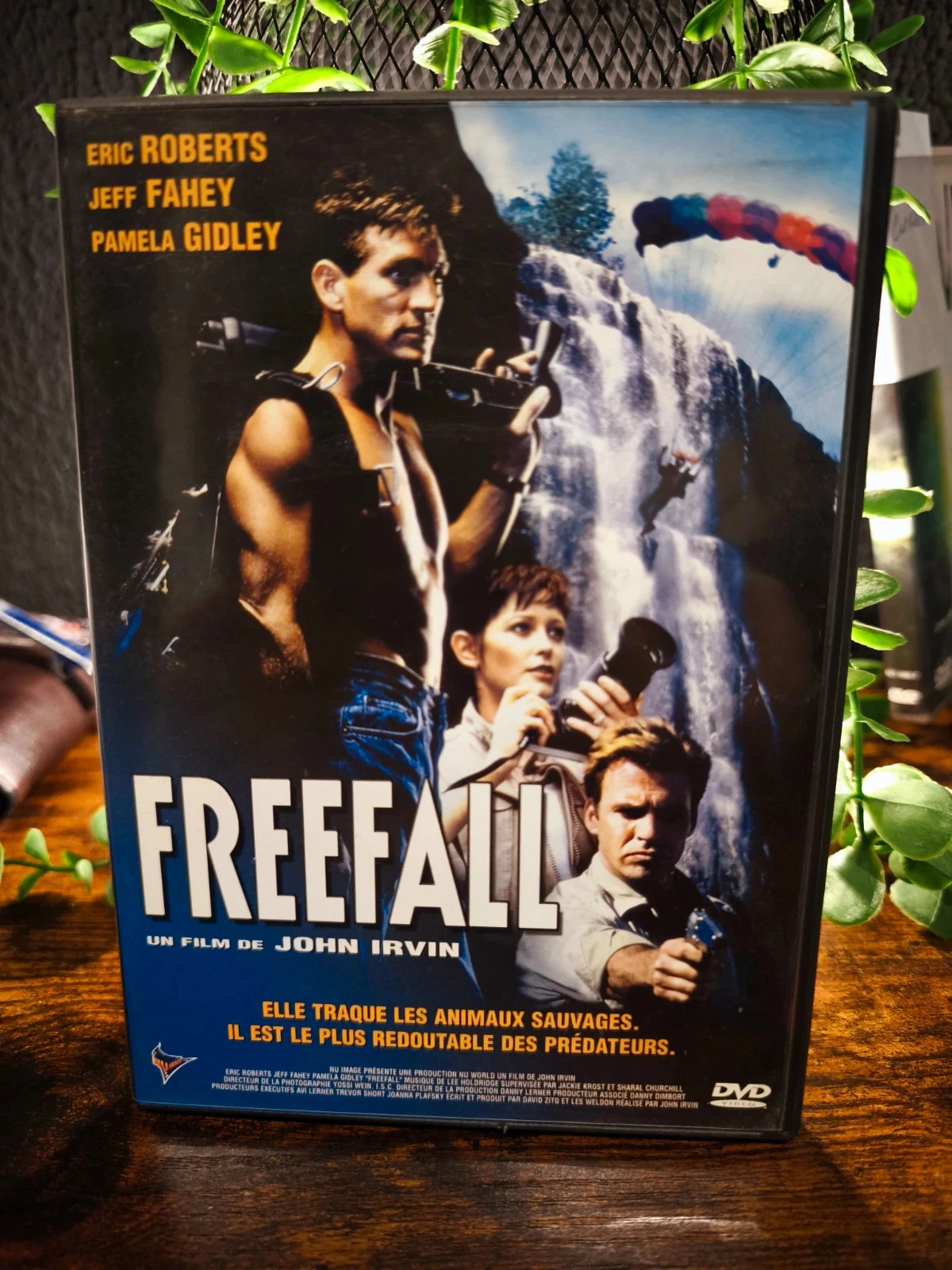 Freefall